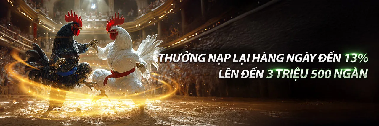 Sân Đấu Đá Gà Trực Tuyến mm99 code